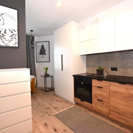 K1 Wi-fi Netflix Apartment Walbrzych