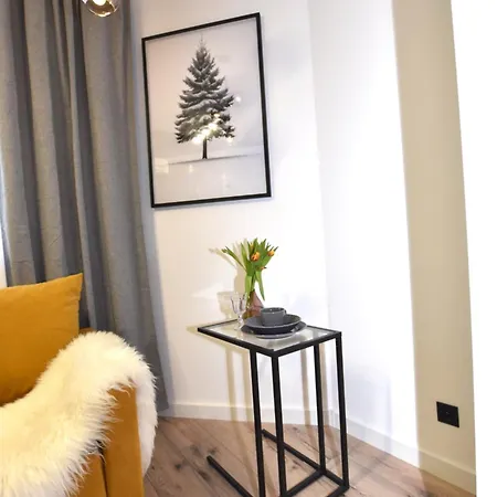 K1 Wi-fi Netflix Apartment Walbrzych