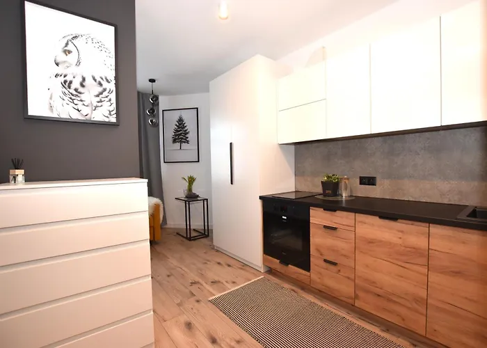 K1 Wi-fi Netflix Apartment Walbrzych